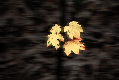 Storm by decolor feroz, Photography for Sale on Singulart