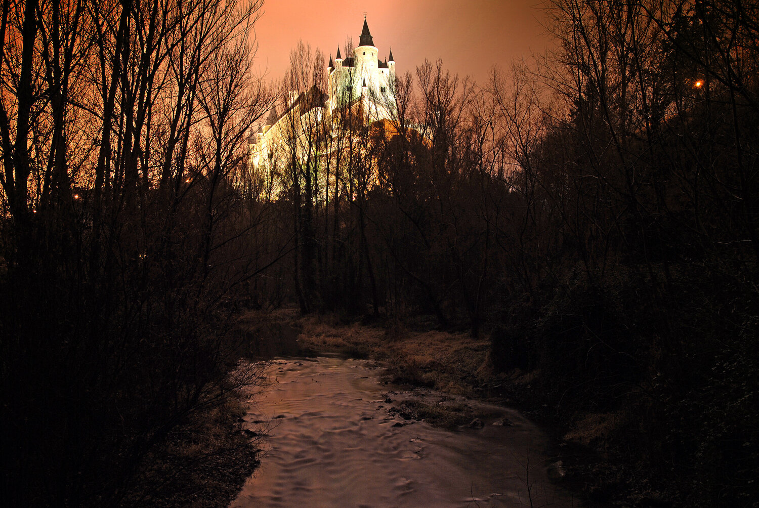 Sleeping Beauty Castle decolor feroz
