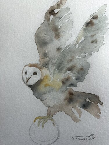 An Owl Catching the Moon by Keiko Suzuki Möller, Painting for Sale on Singulart