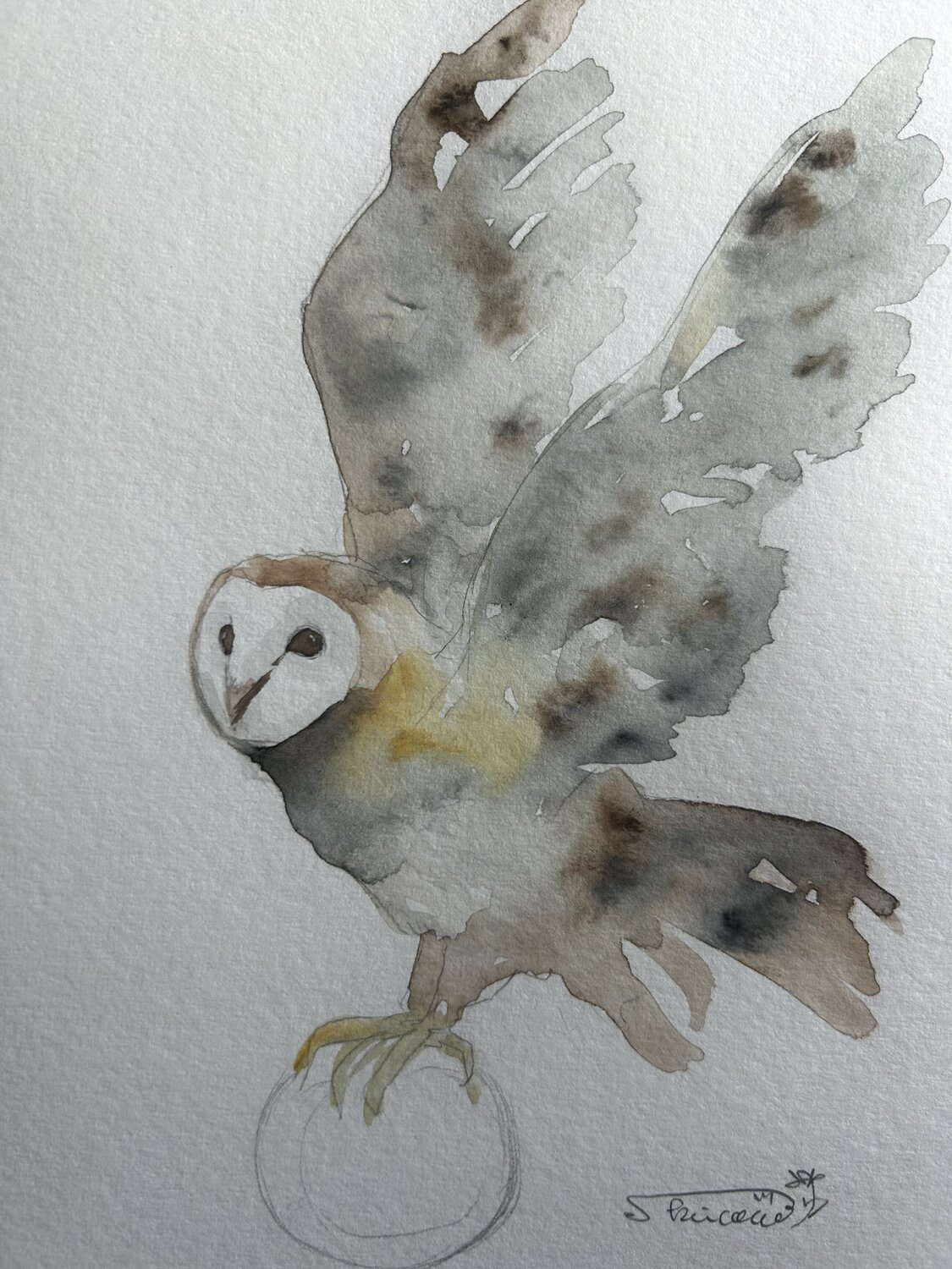 An Owl Catching the Moon Keiko Suzuki Möller