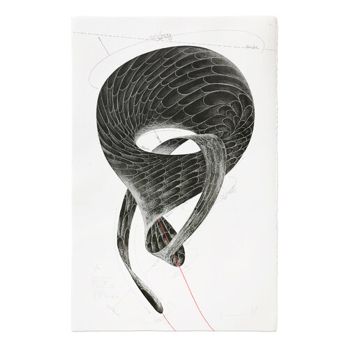Inherited Desire by Jorinde Voigt, Print for Sale on Singulart