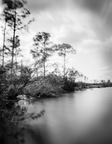Pine Lakes Everglades di Rudy Umans, Fotografia in vendita su Singulart