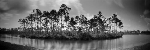 Everglades Long Pine Key by Rudy Umans, Photography for Sale on Singulart