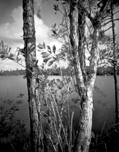 Siblings at Pine Lakes von Rudy Umans, Fotografie kaufen auf Singulart