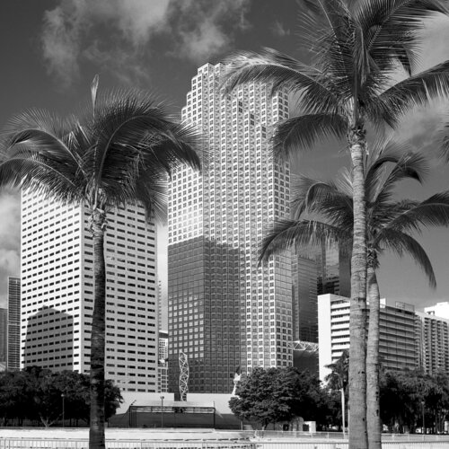 Miami, Florida von Rudy Umans, Fotografie kaufen auf Singulart