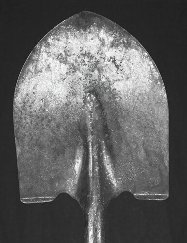 Spade von Rudy Umans, Fotografie kaufen auf Singulart