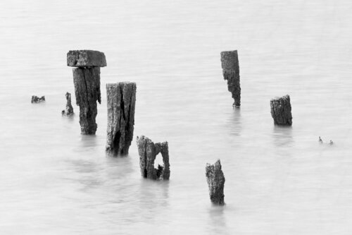 What once was di Rudy Umans, Fotografia in vendita su Singulart