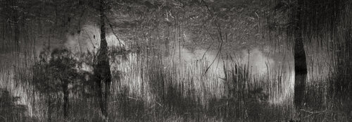 The Magic of Nature di Rudy Umans, Fotografia in vendita su Singulart
