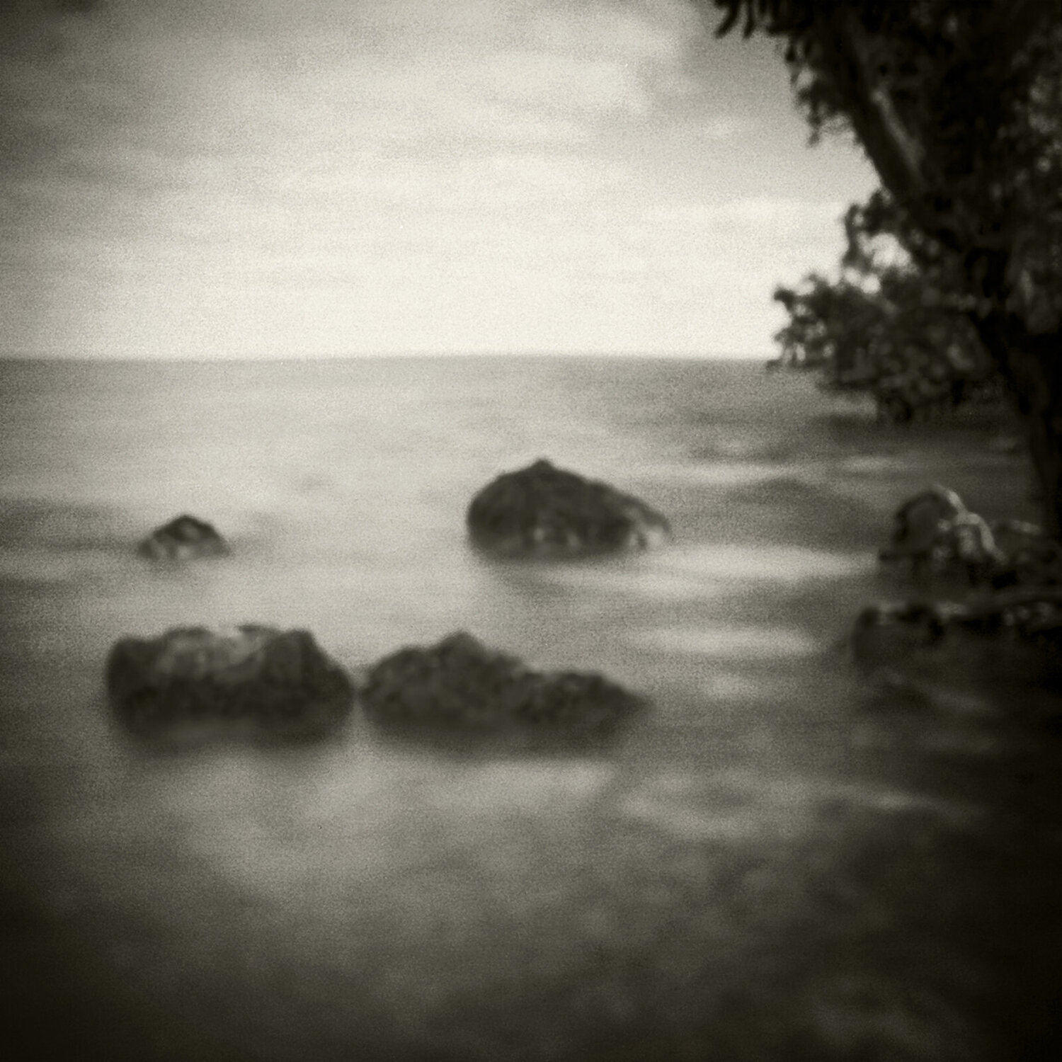 Biscayne Bay-Miami Rudy Umans