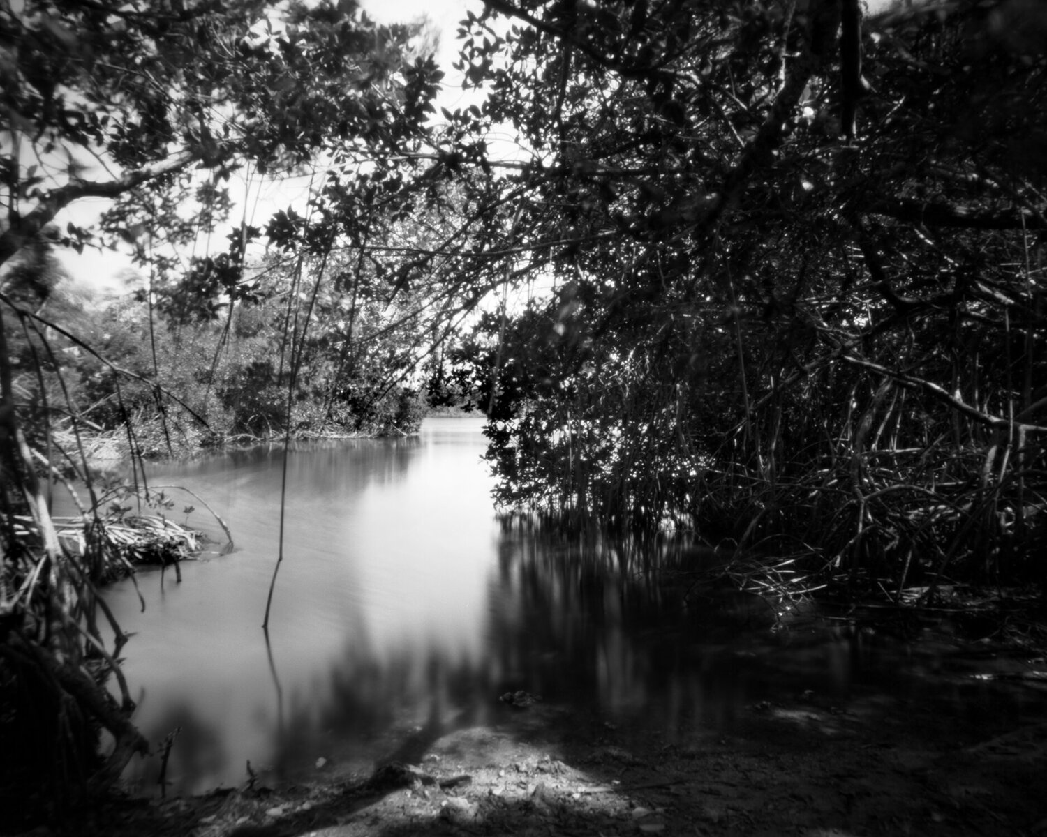 Coot Bay Pond - Everglades Rudy Umans