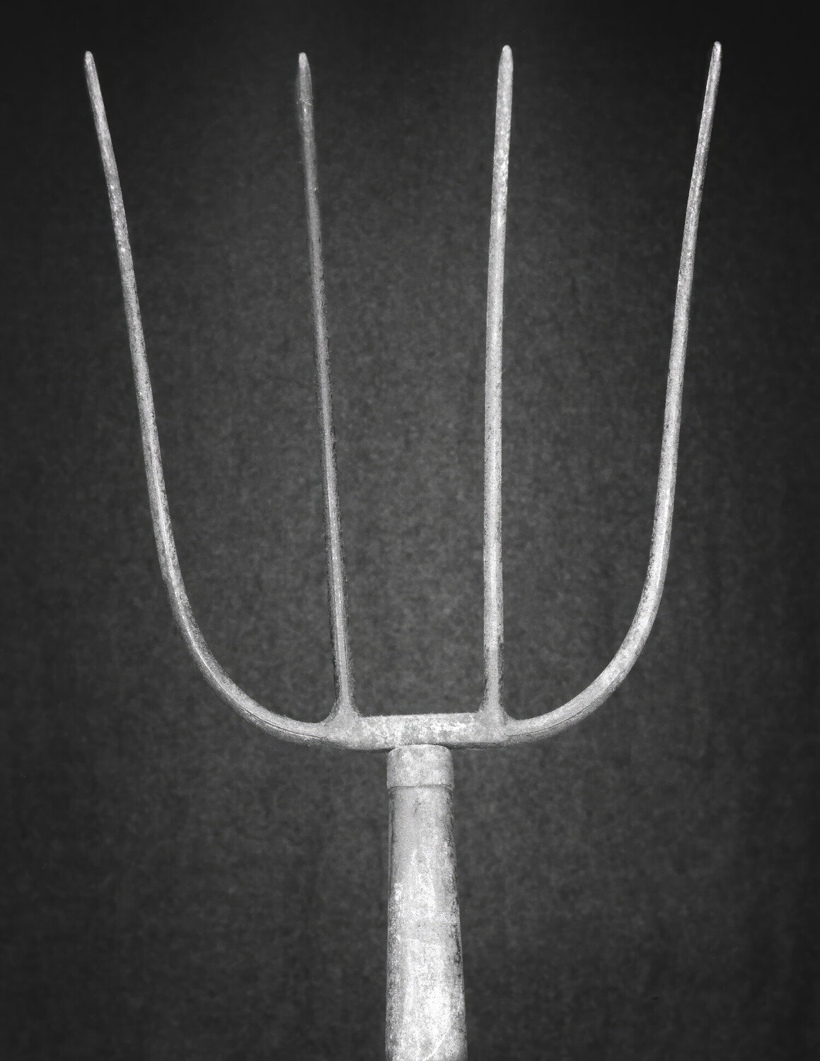 Pitch Fork Rudy Umans