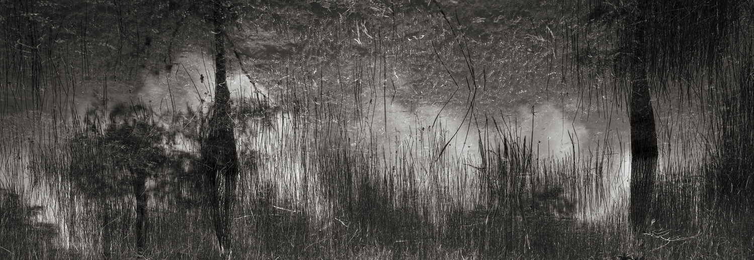 The Magic of Nature Rudy Umans