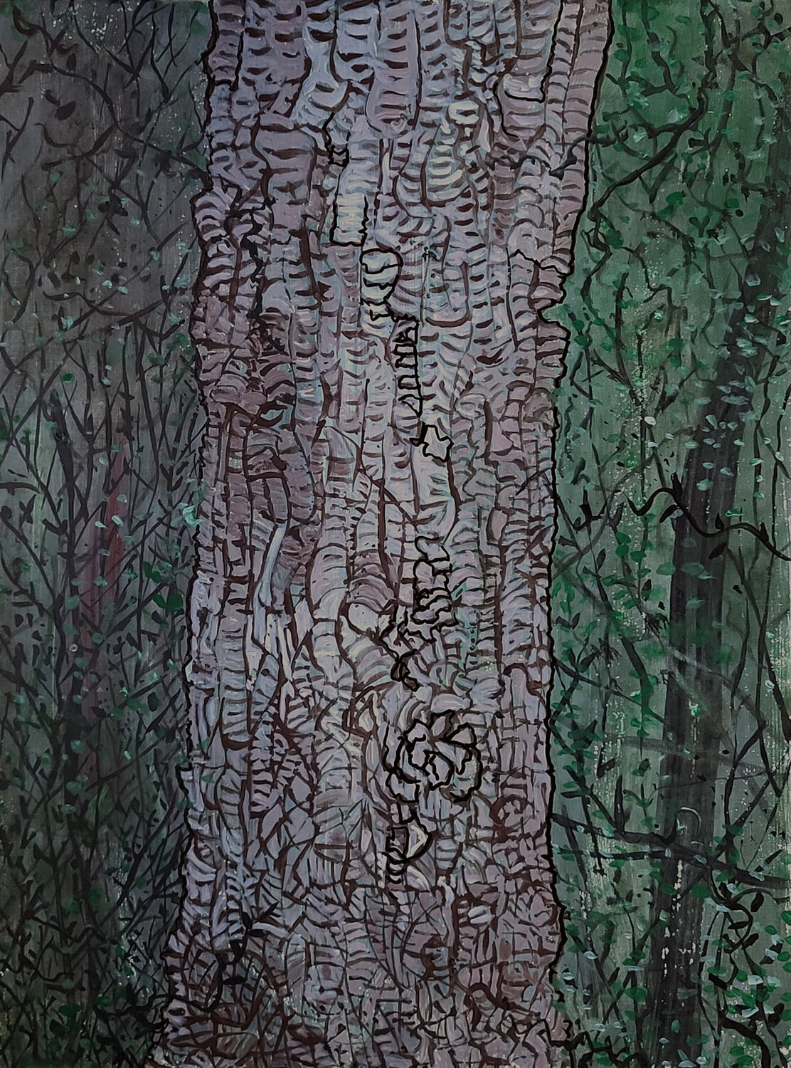 Enjoying the woods Tony Trigg