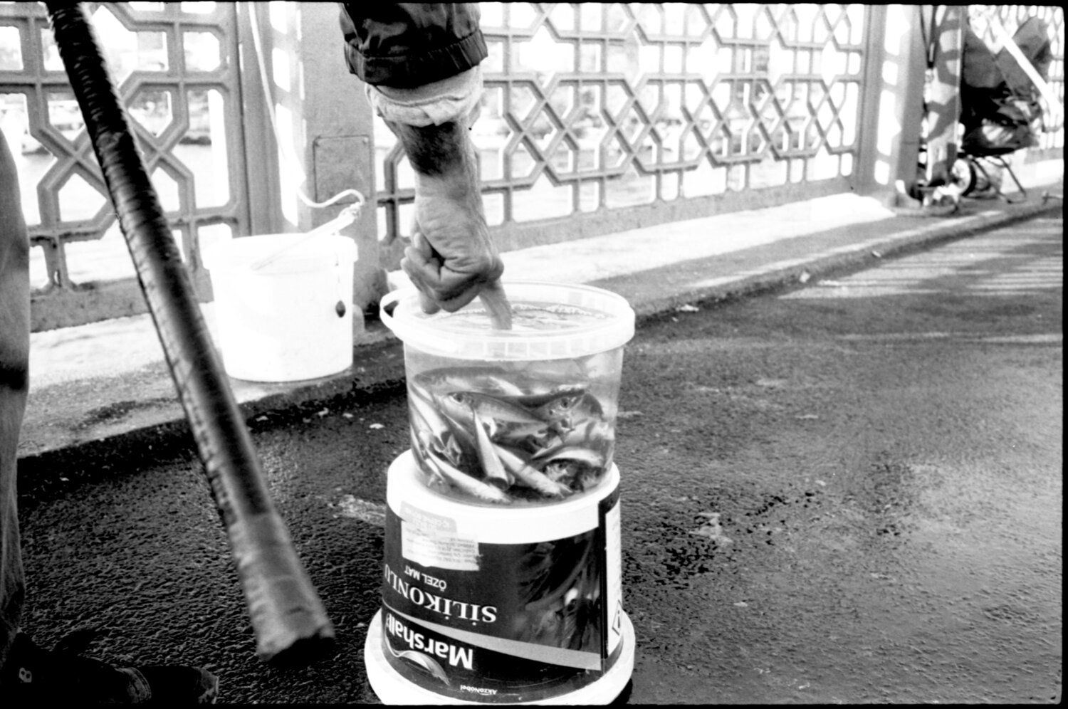 Dead fish by Emrah Celik (2024) Photography Digital on Paper Singulart