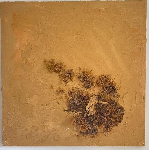 TERRA ARSA van Valentina Mistretta, Schilderij te koop op Singulart