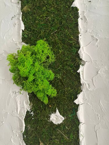 MUSCHIO IN CEMENTO di Valentina Mistretta, Pittura in vendita su Singulart