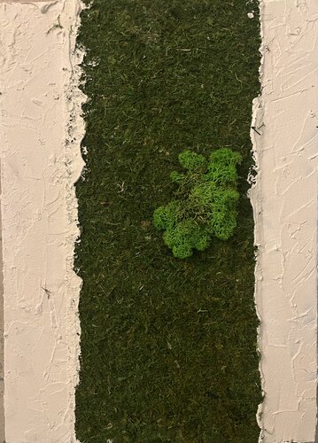 Muschio 2.0 van Valentina Mistretta, Schilderij te koop op Singulart