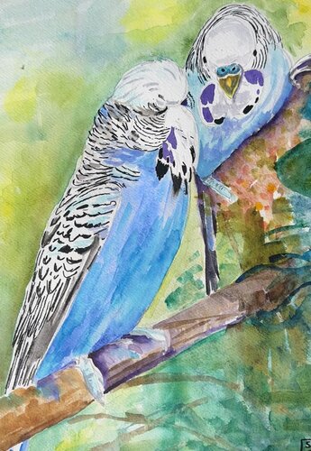 Two Budgies von Susan Tye, Malerei kaufen auf Singulart