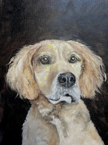 Golden Retriever by Geanina Cernica, 油畫 for Sale on Singulart