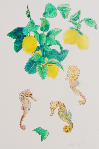 Sauer macht lustig! di Matthias Lück, Opera su carta in vendita su Singulart