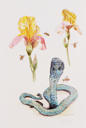Kobra und Bienen by Matthias Lück, Work on Paper for Sale on Singulart