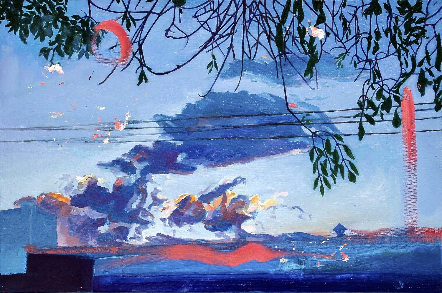 Santa Rosa Simon Boyd