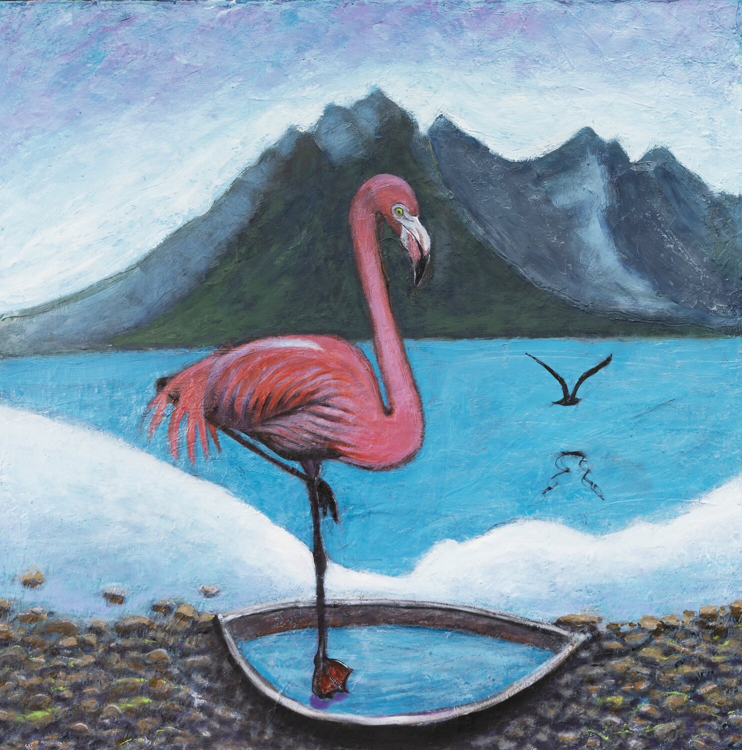 A confused flamingo evy Olsen Halvorsen