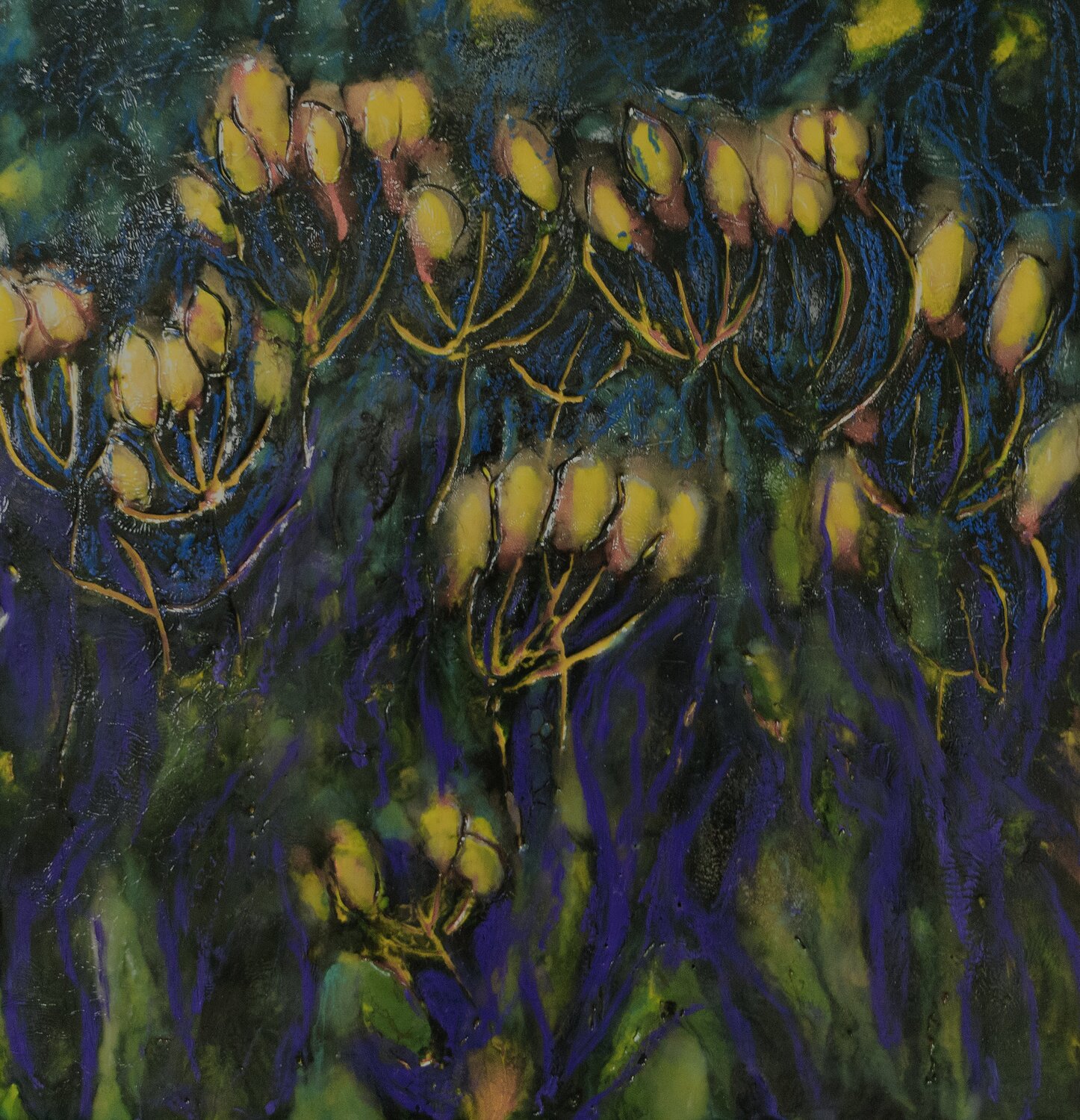 yellow buds evy Olsen Halvorsen