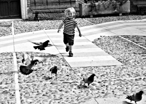 Taubenjagd par Annett Siviglia-Mann, Photographie en vente sur Singulart