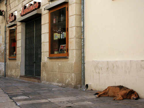 Siesta 2 Annett Siviglia-Mann
