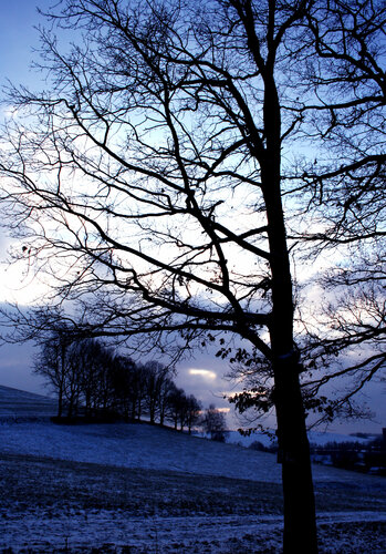 Paesaggio Invernale 1 de Annett Siviglia-Mann, Fotografía a la venta en Singulart