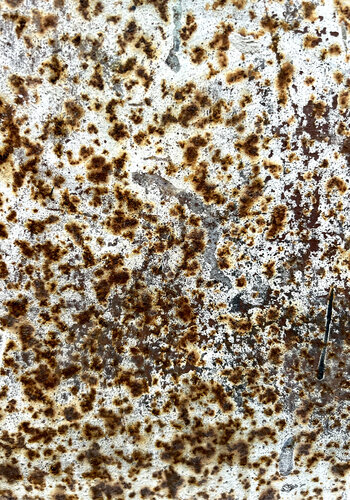 Leopardo di Annett Siviglia-Mann, Fotografia in vendita su Singulart