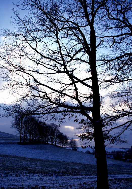 Paesaggio Invernale 1 Annett Siviglia-Mann