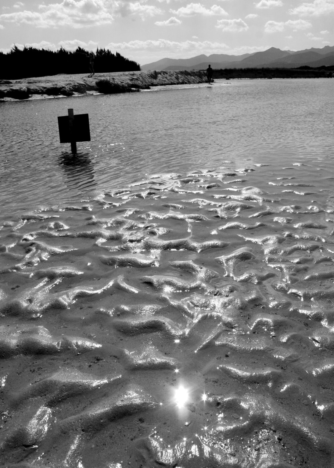 EBBE Annett Siviglia-Mann