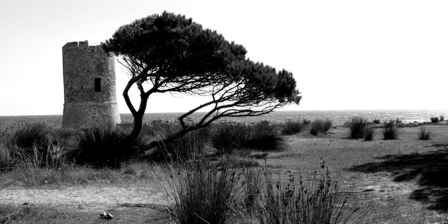Solingo Annett Siviglia-Mann