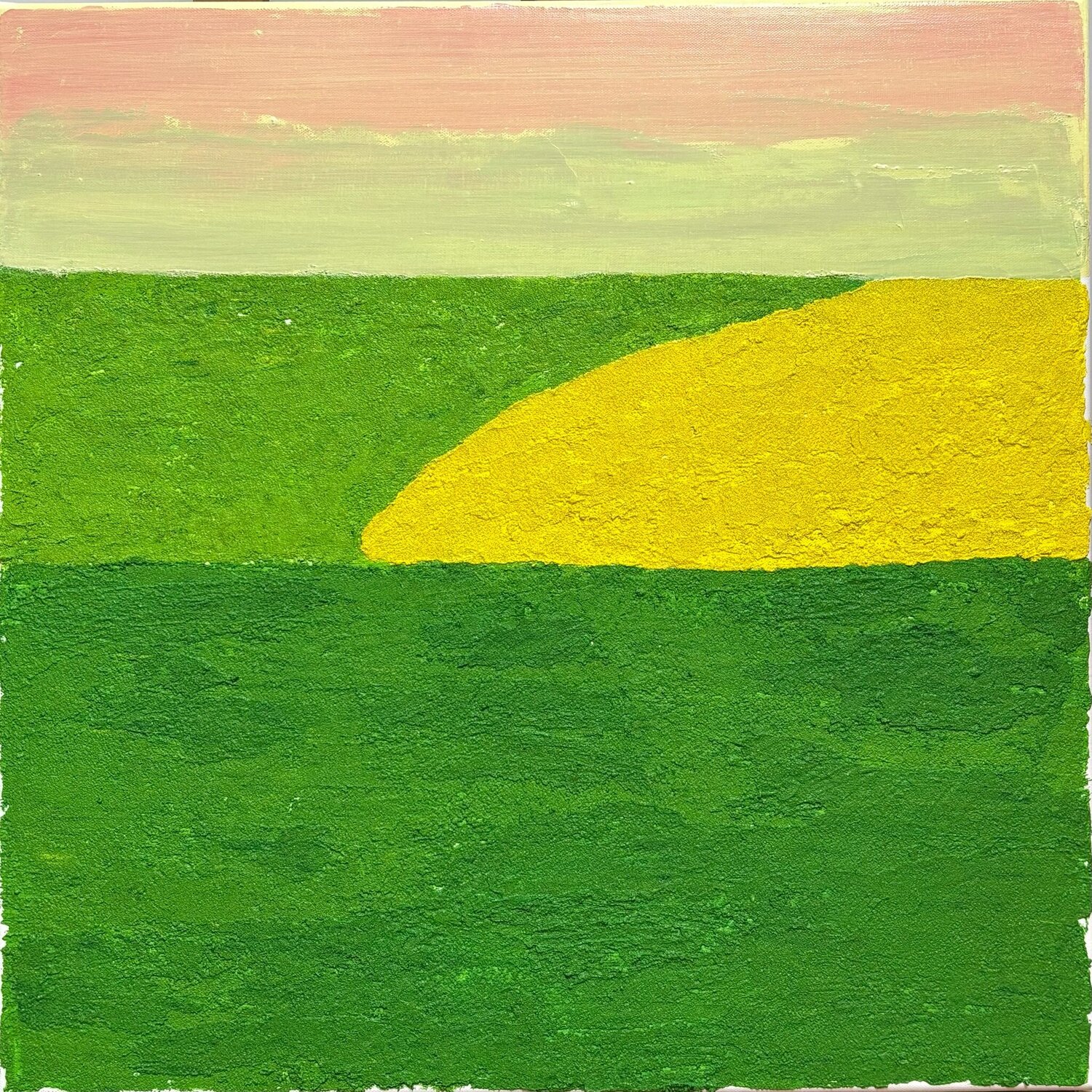 Rapeseed Alain CHURLAUD