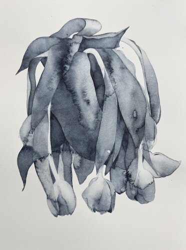 Dead flowers by Kateryna Reznichenko, Work on Paper for Sale on Singulart