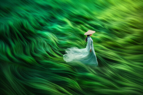 A Chinese woman wearing a hanfu dress, wades through a sea of windblown maiden grass von Charley Brindley, Digital kaufen auf Singulart