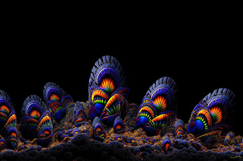 Mollusk Peacockian par Charley Brindley, Digital en vente sur Singulart