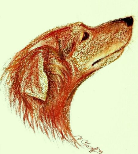 Pooch by Youri Chasov, 소묘 for Sale on Singulart