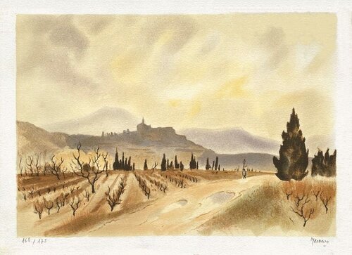 Les vignes en Provence Yves De Mare