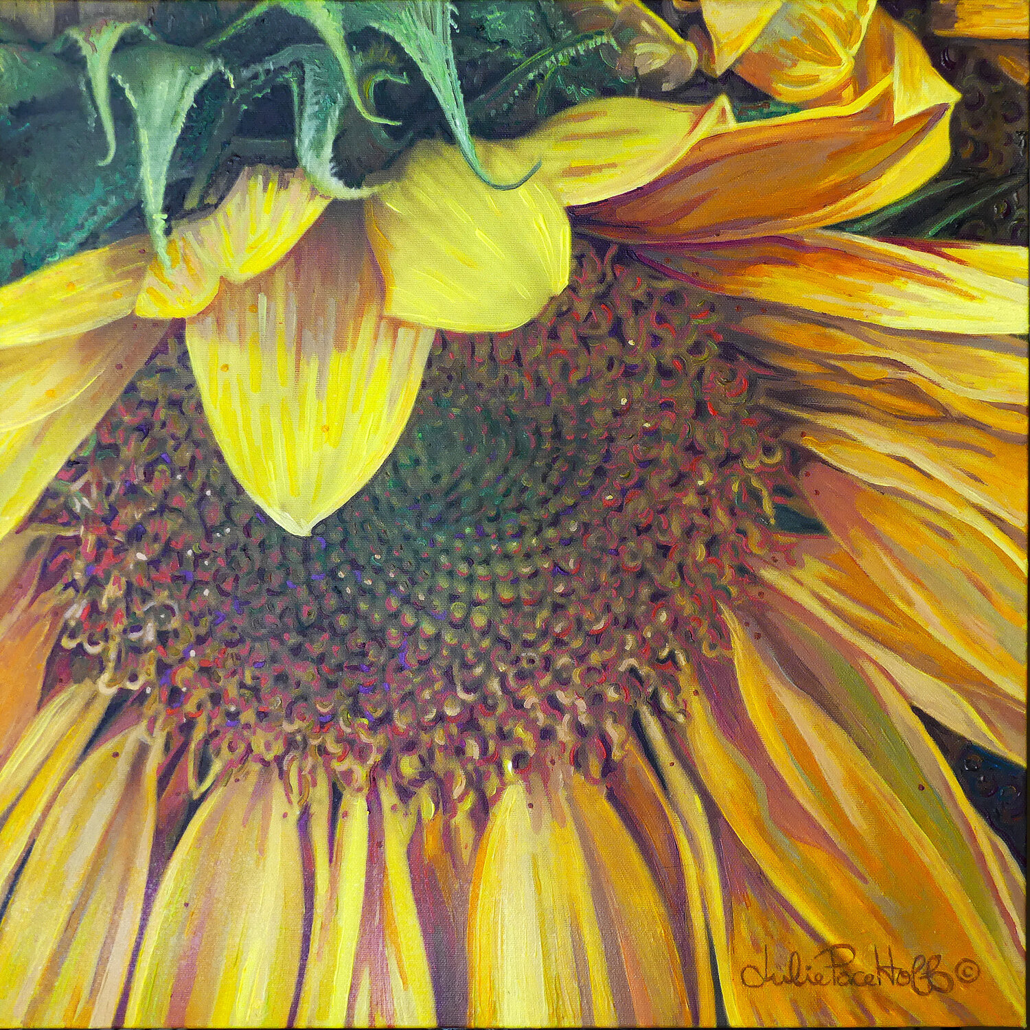 Sunflower 1 Julie Pace Hoff