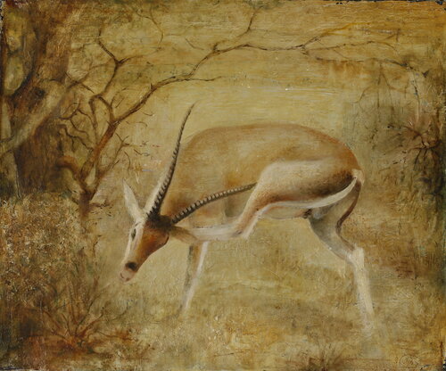 Antelope van Besik Arbolishvili, Schilderij te koop op Singulart