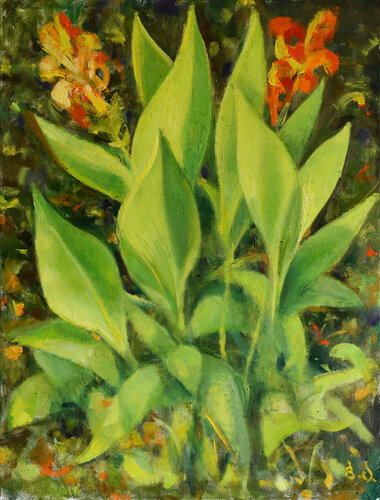 "Canna's " van Besik Arbolishvili, Schilderij te koop op Singulart