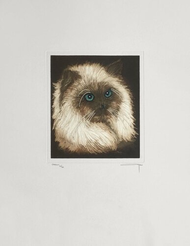 El gato von Alfonso Ayuso, Druck kaufen auf Singulart