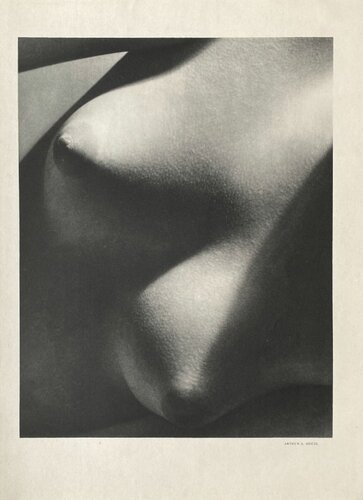 Nude by Arthur Siegel van VERVE Revue, Afdruk te koop op Singulart