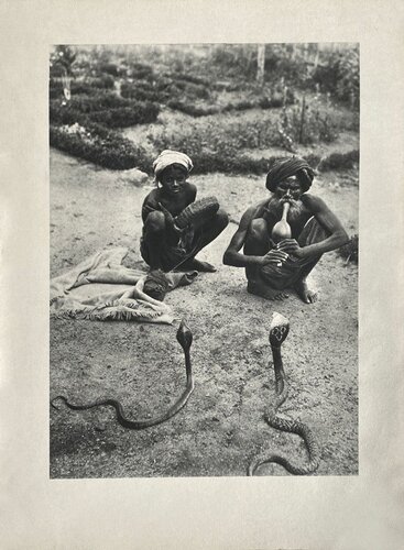 The snake charmer by Gaetan Fouquet by VERVE Revue, Print for Sale on Singulart
