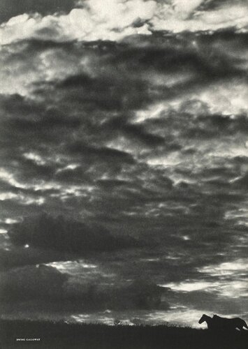 Horses by Erwing Galloway by VERVE Revue, Print for Sale on Singulart