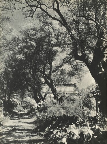 Renoir's garden by Willy Maywald par VERVE Revue, Édition en vente sur Singulart