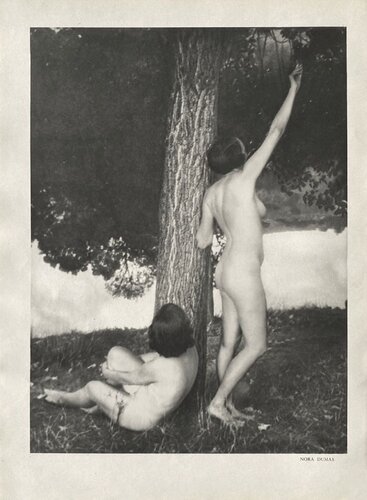 The Nude by Nora Dumas by VERVE Revue, Print for Sale on Singulart